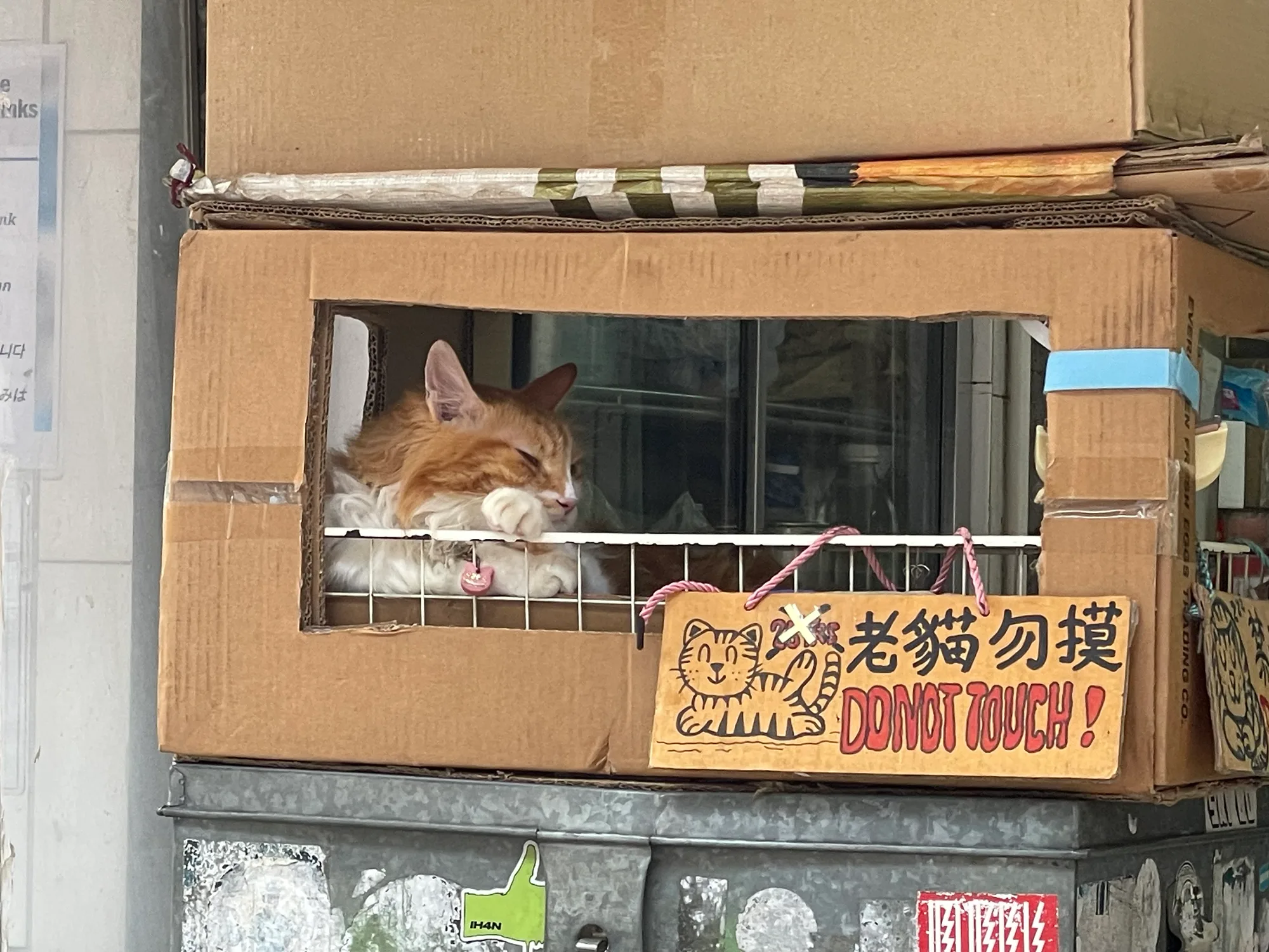 Hong Kong